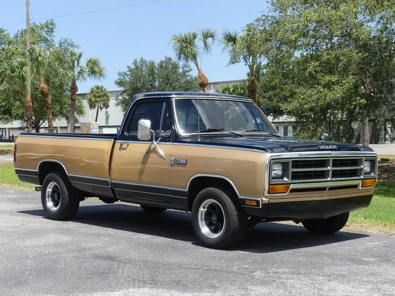 Dodge D100