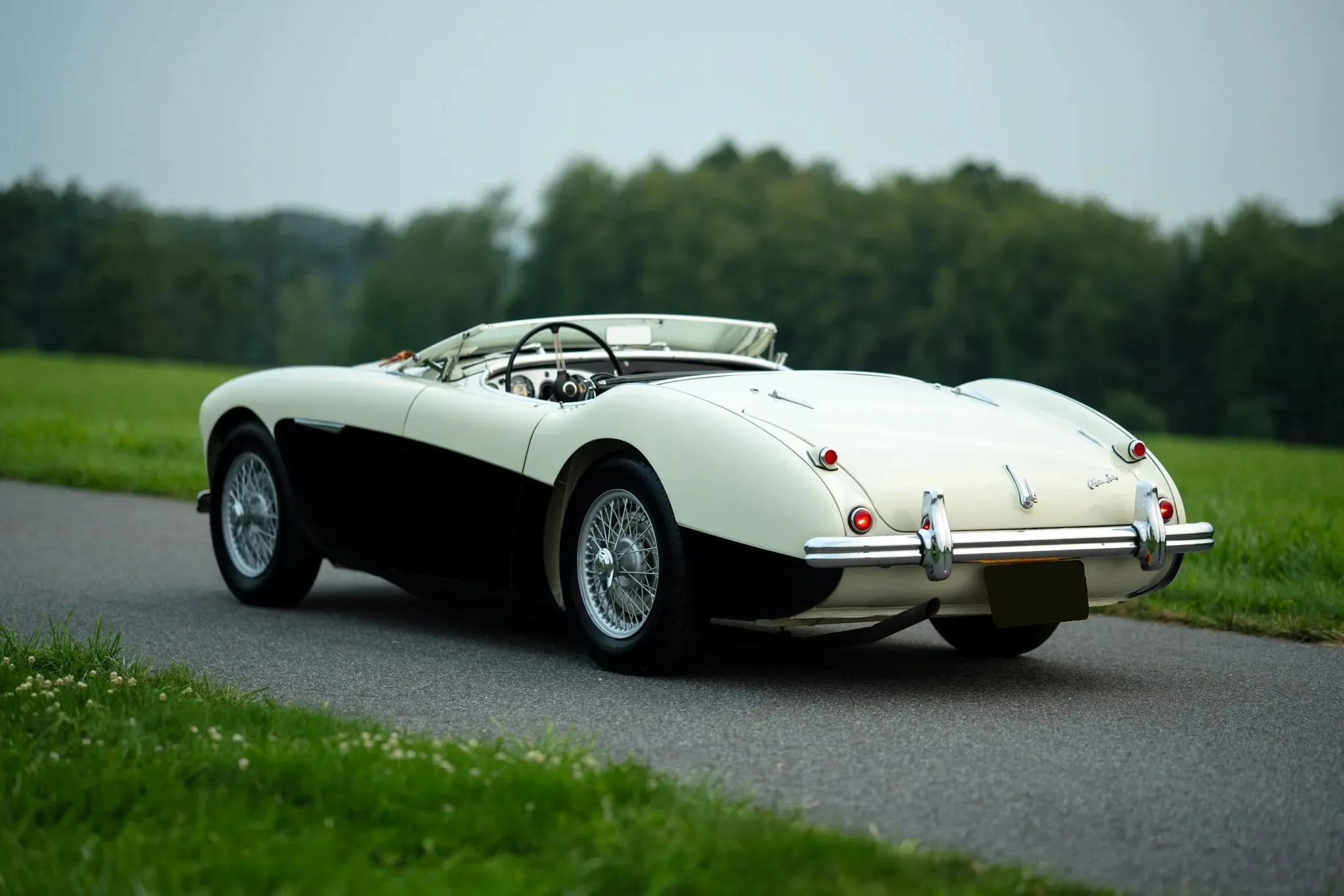 Austin-Healey 100