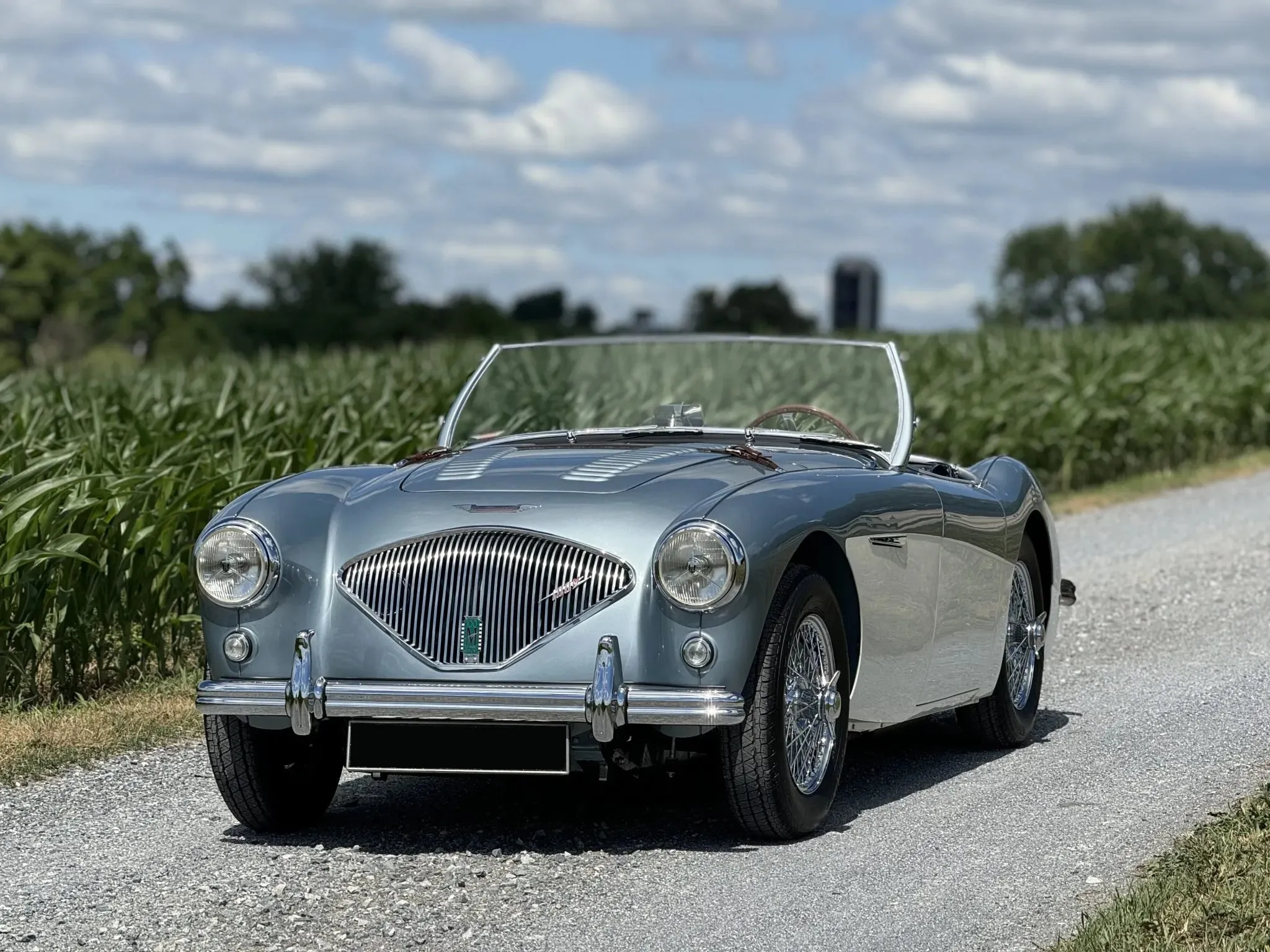 Austin-Healey 100