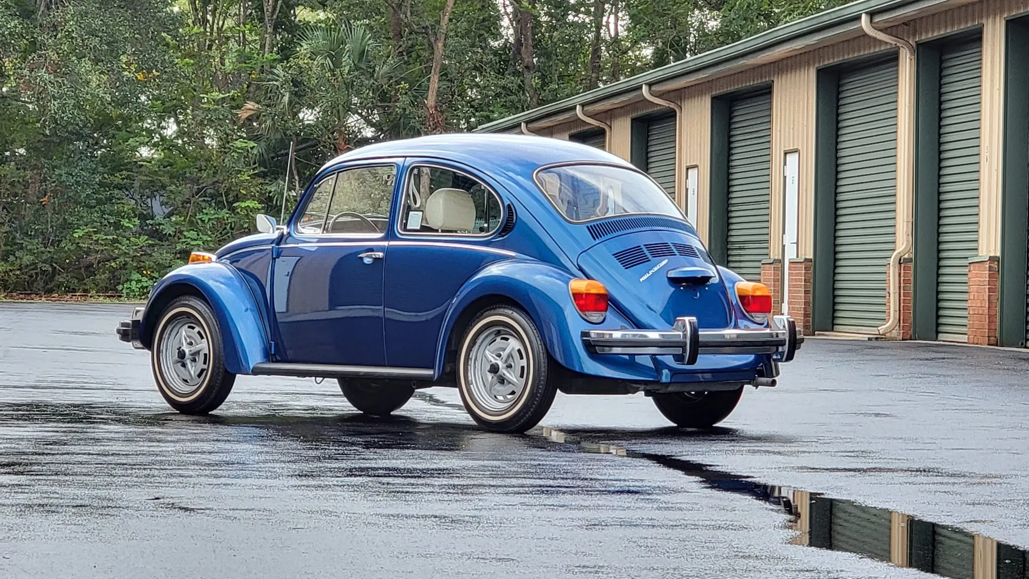 Volkswagen Beetle