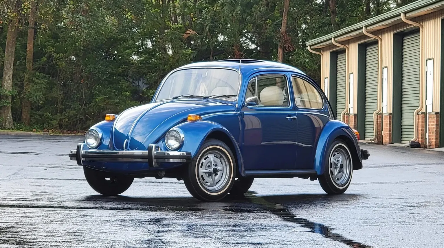 Volkswagen Beetle