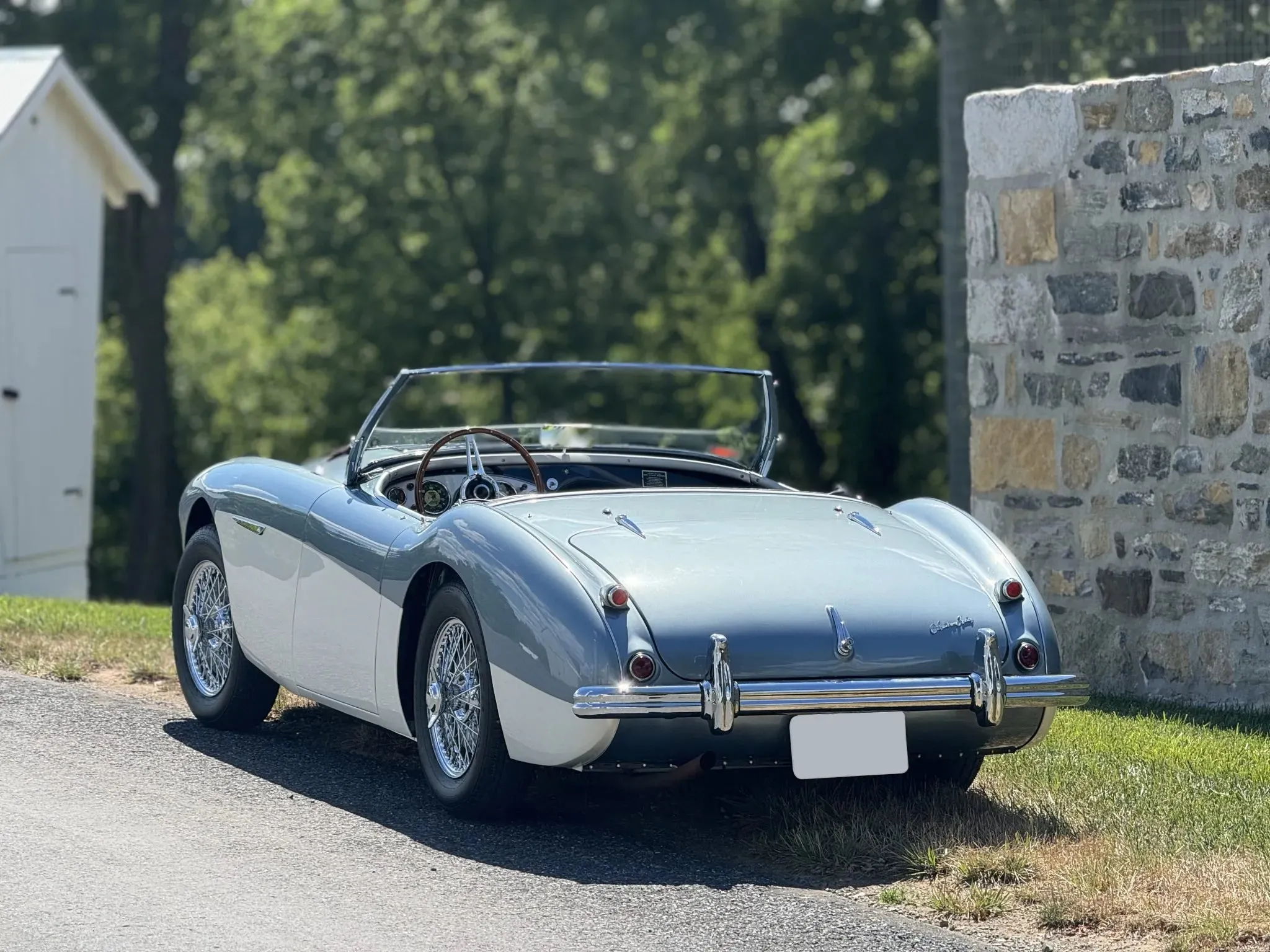 Austin-Healey 100