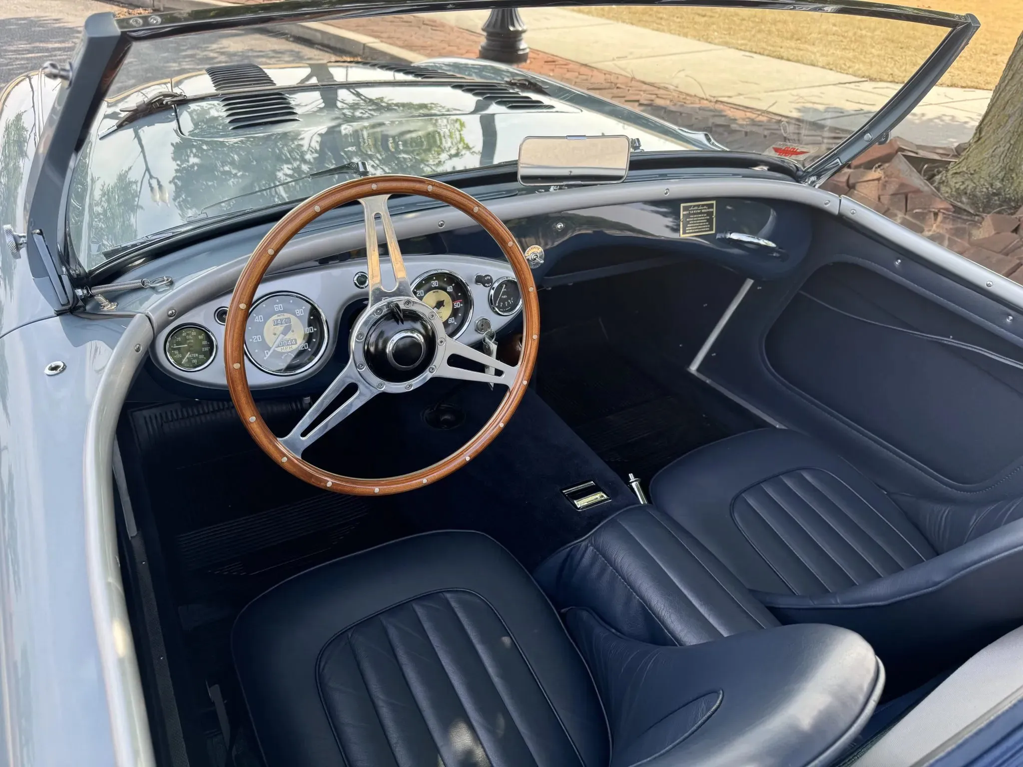 Austin-Healey 100