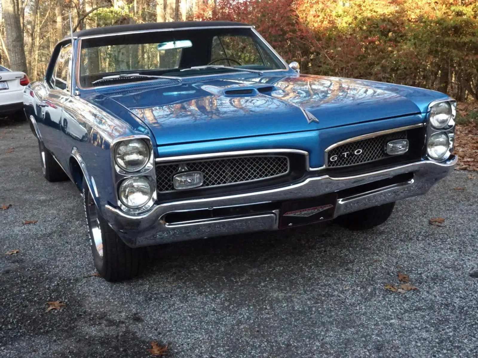 Pontiac GTO