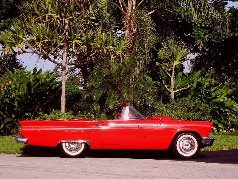 1957 Ford   Thunderbird Roadster