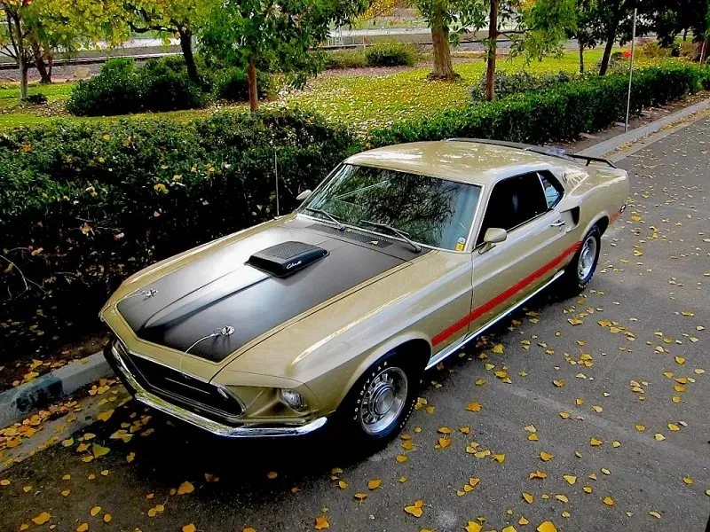 1969 Ford Mustang R Code 1 of 1 Mach 1