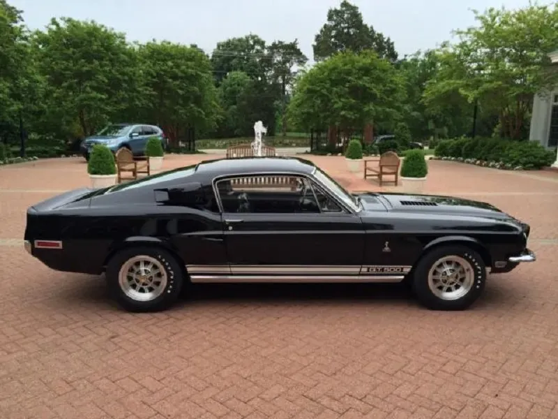 Shelby GT-500
