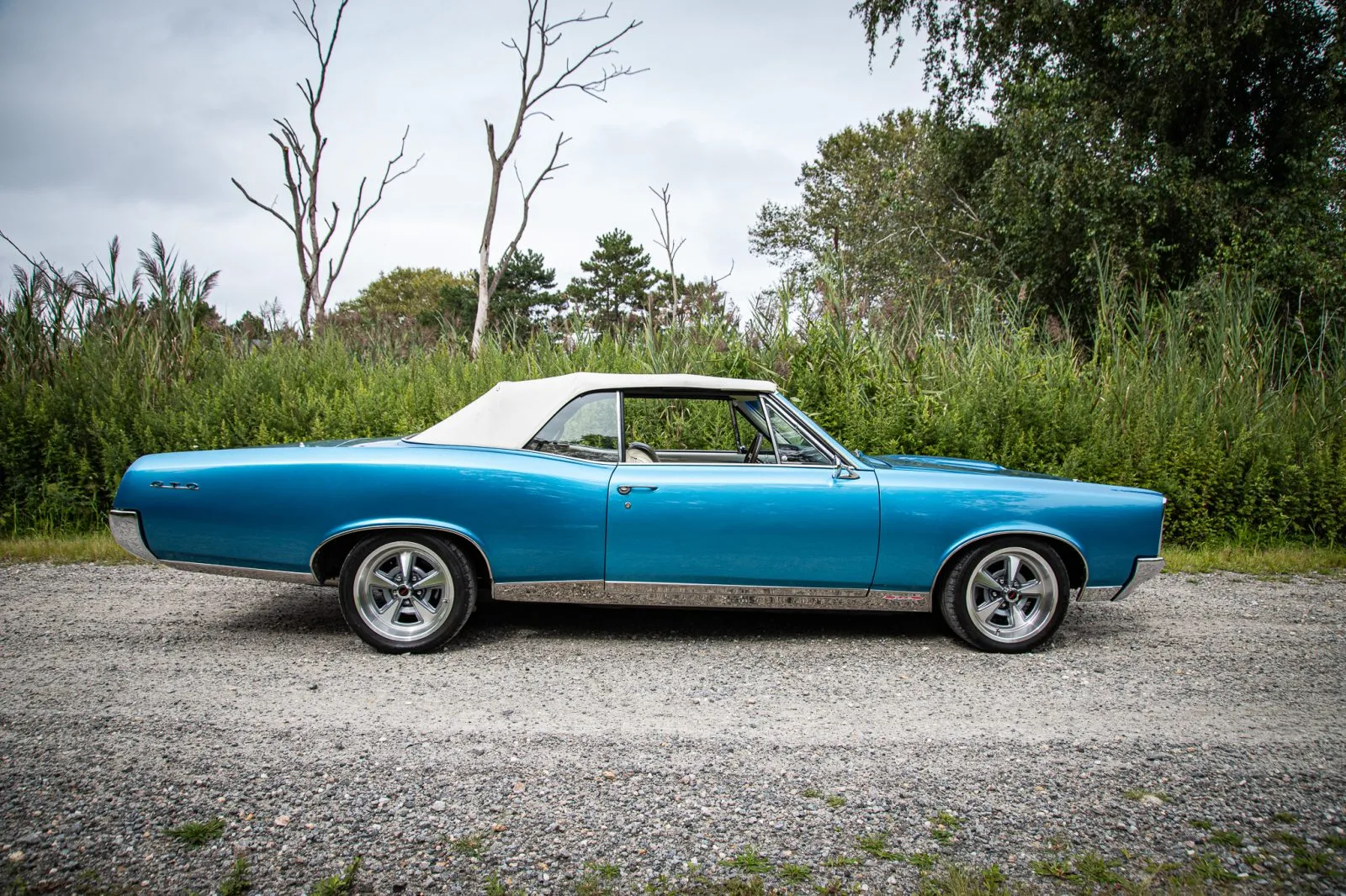 Pontiac GTO