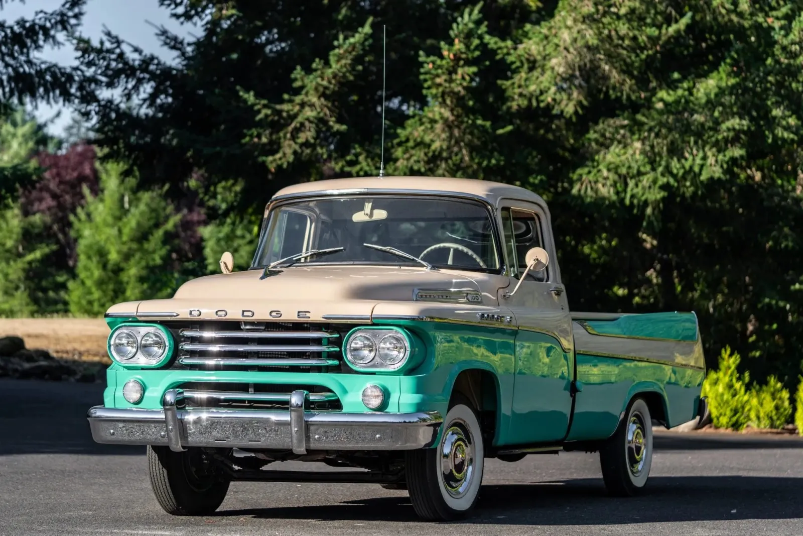 Dodge D100