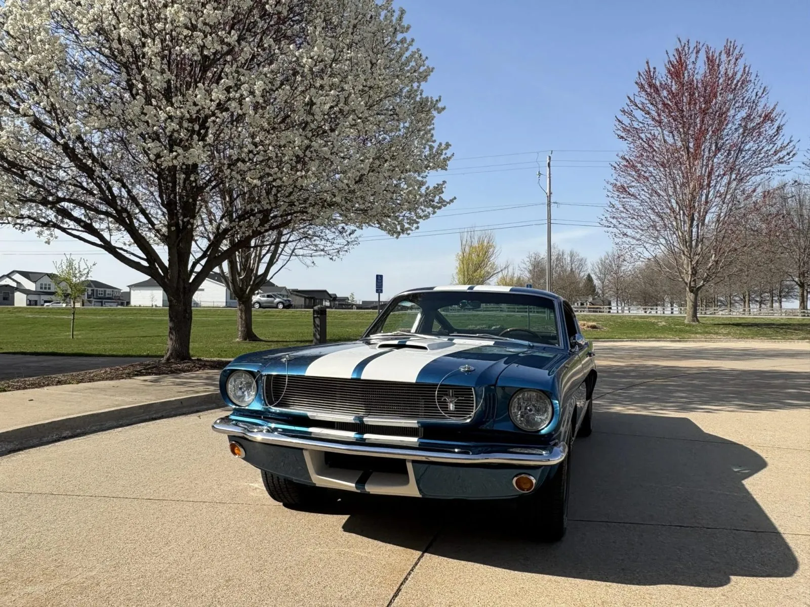 Ford Mustang Shelby GT350