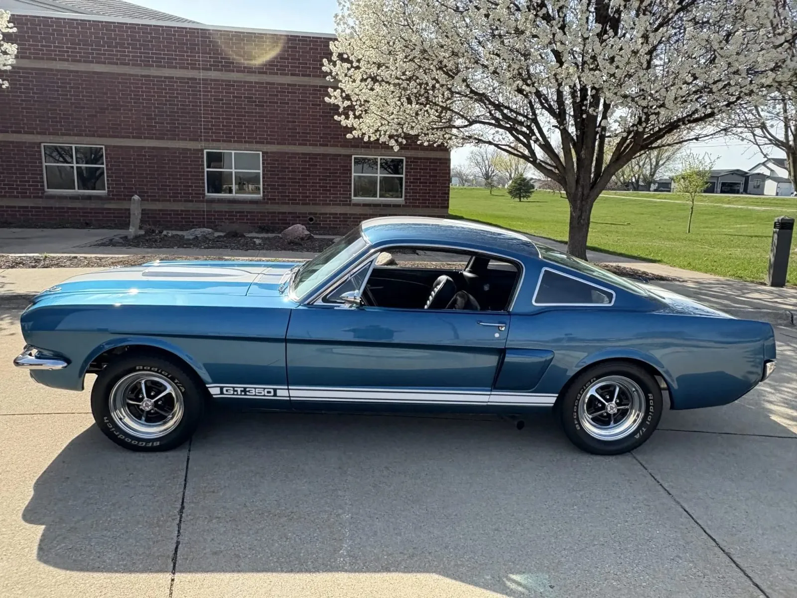 Ford Mustang Shelby GT350