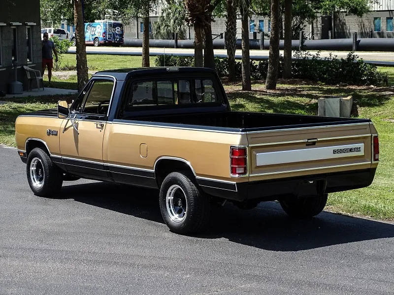 Dodge D100